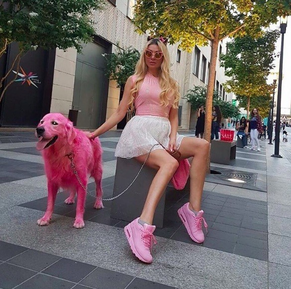 pink-dog3